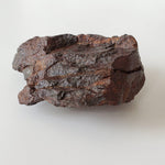 Northwest Africa NWA Meteorite | 57.83 Grams | Individual Fragment | Sahara