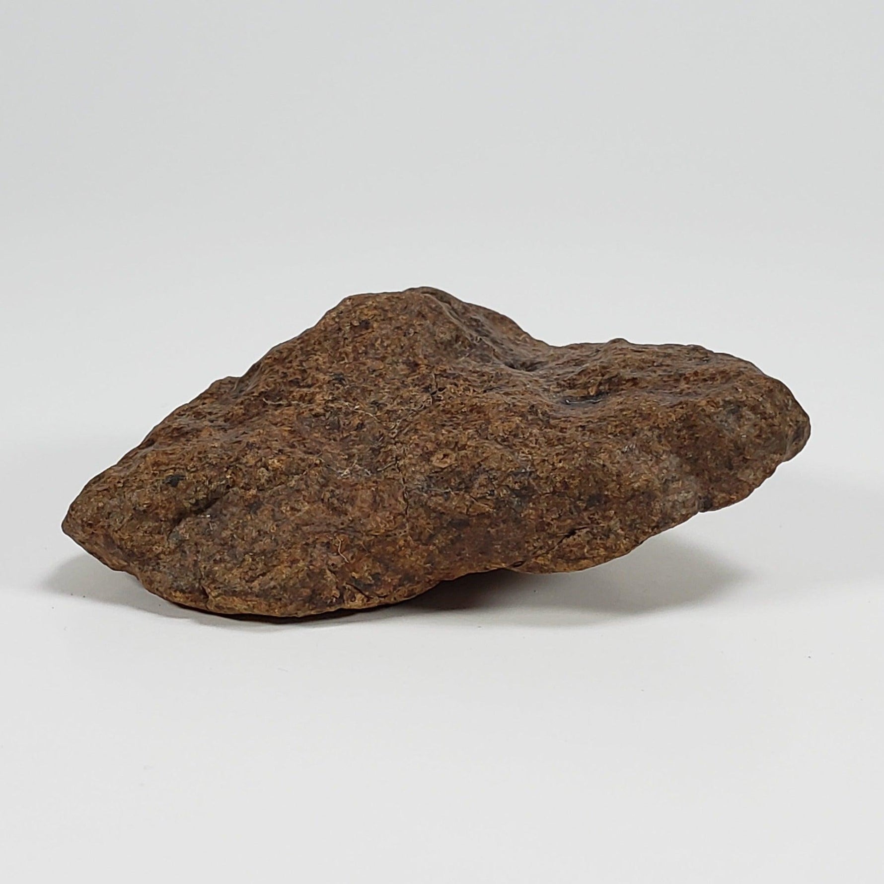 Northwest Africa NWA Meteorite | 58.7 Grams | Individual Fragment | Sahara
