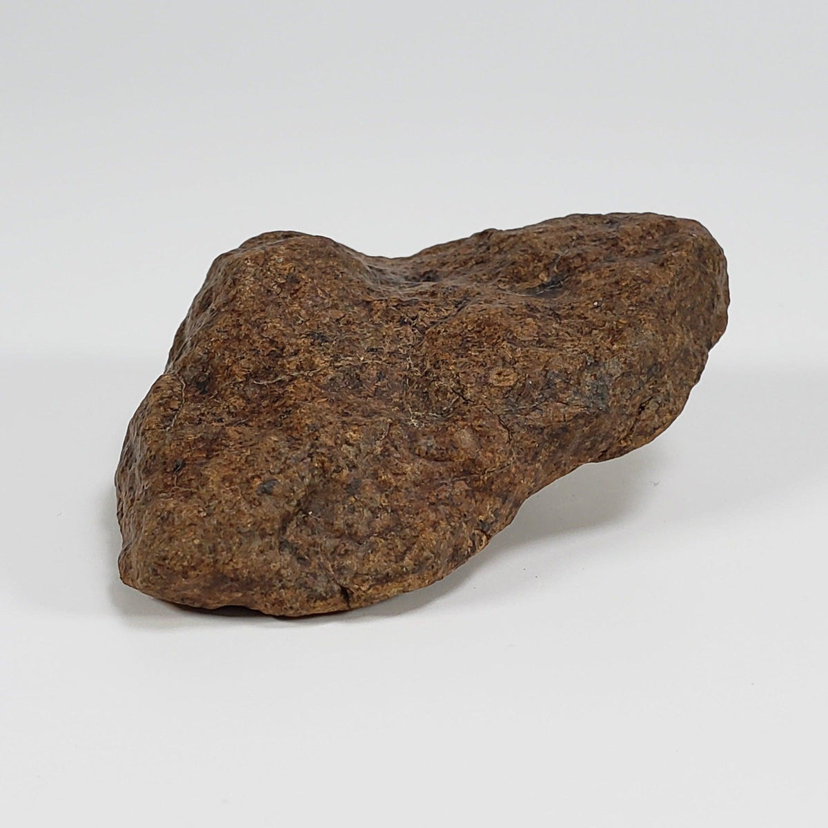 Northwest Africa NWA Meteorite | 58.7 Grams | Individual Fragment | Sahara