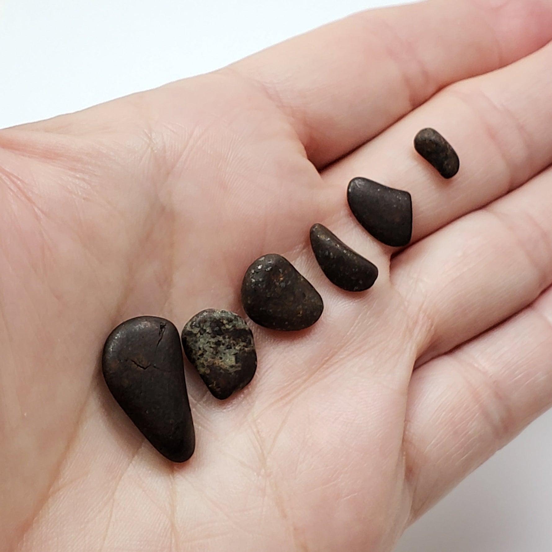  Northwest Africa NWA Meteorite 6 Piece Lot | 6.4 Grams | Tumbled Individuals | Sahara 