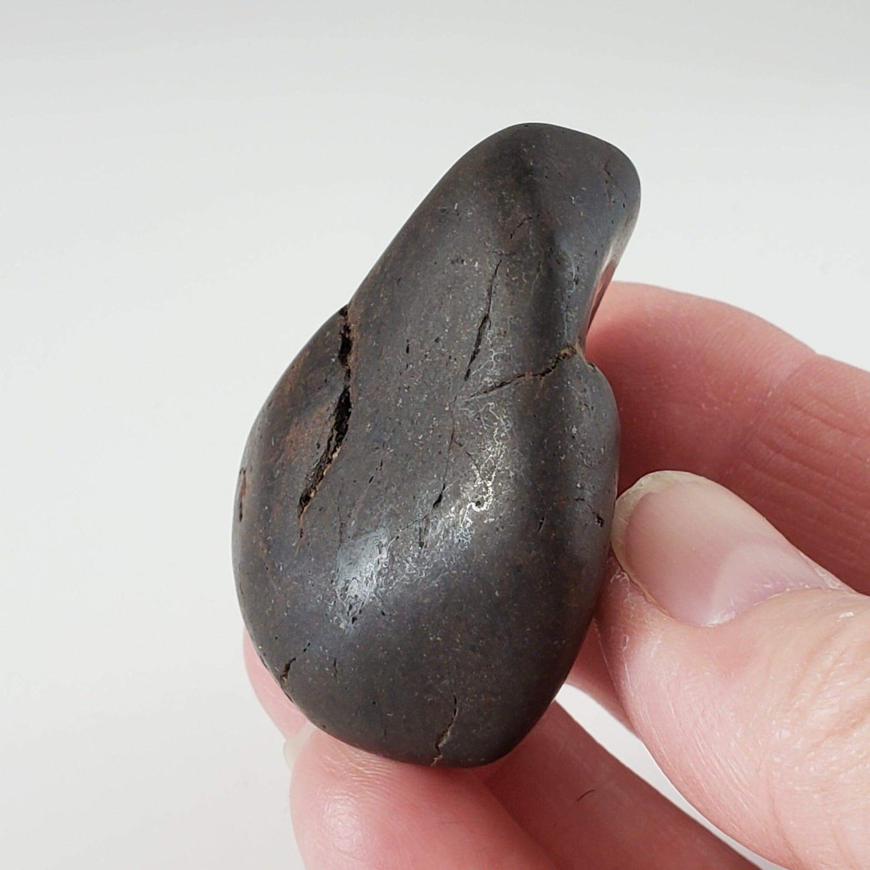 Northwest Africa NWA Meteorite | 75.5 Grams | Individual | Tumbled Meteorite | Sahara
