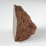 Northwest Africa NWA Meteorite | 81 Grams | End Cut | Sahara