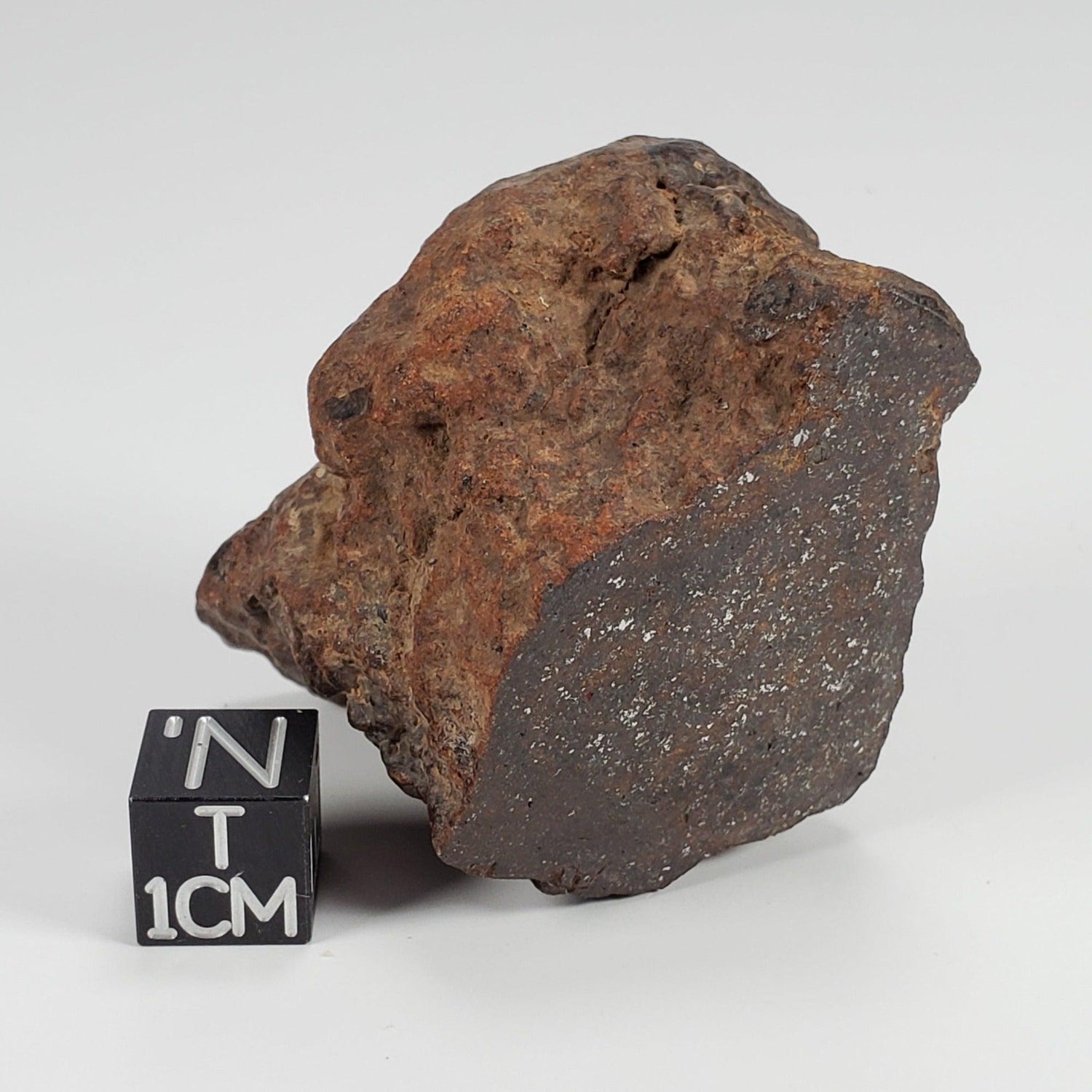 Northwest Africa NWA Meteorite | 81.1 Grams | End Cut | Sahara