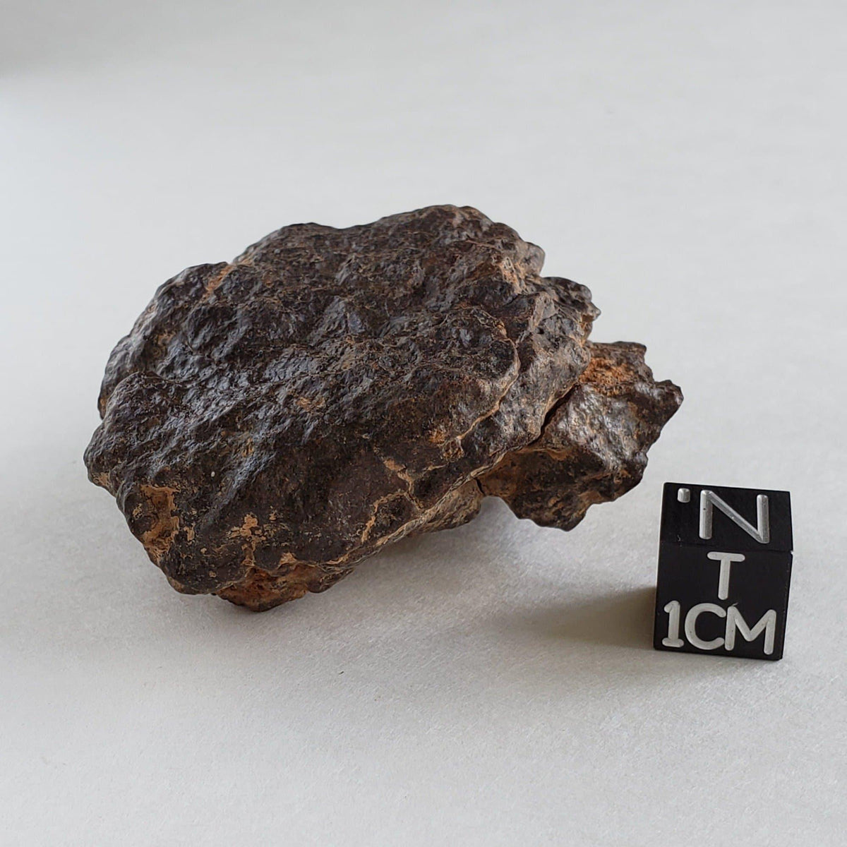 Northwest Africa NWA Meteorite | 81.9 Grams | Individual Cut Fragment | Sahara