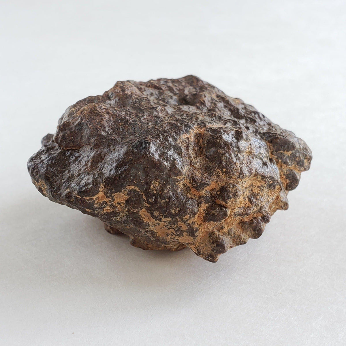 Northwest Africa NWA Meteorite | 81.9 Grams | Individual Cut Fragment | Sahara