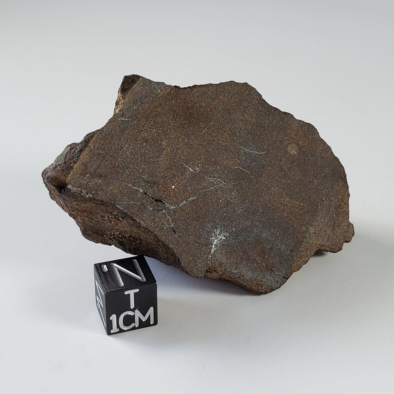 Northwest Africa NWA Meteorite | 95 Grams | End Cut | Sahara