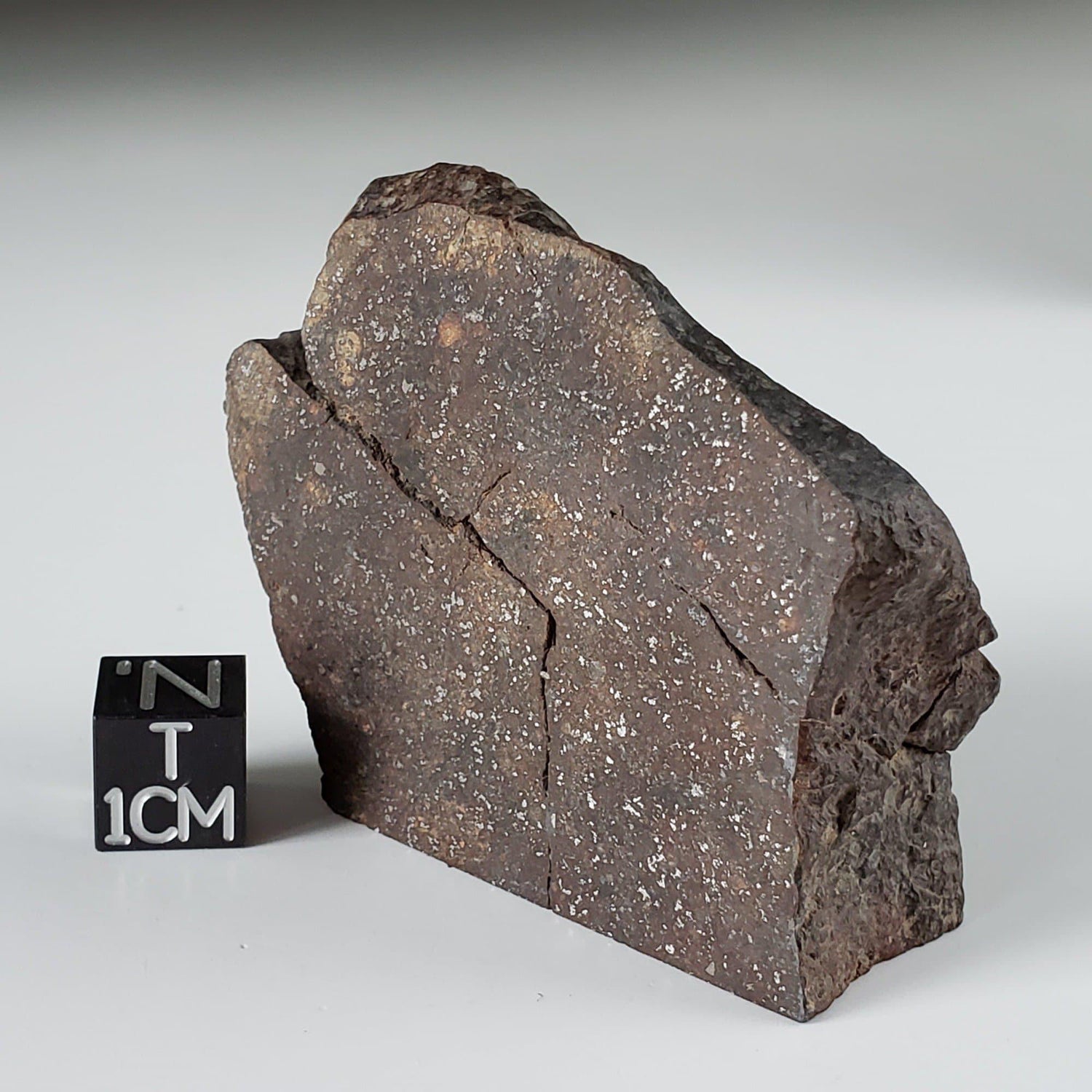 Northwest Africa NWA Meteorite | 95.66 Grams | End Cut | Sahara