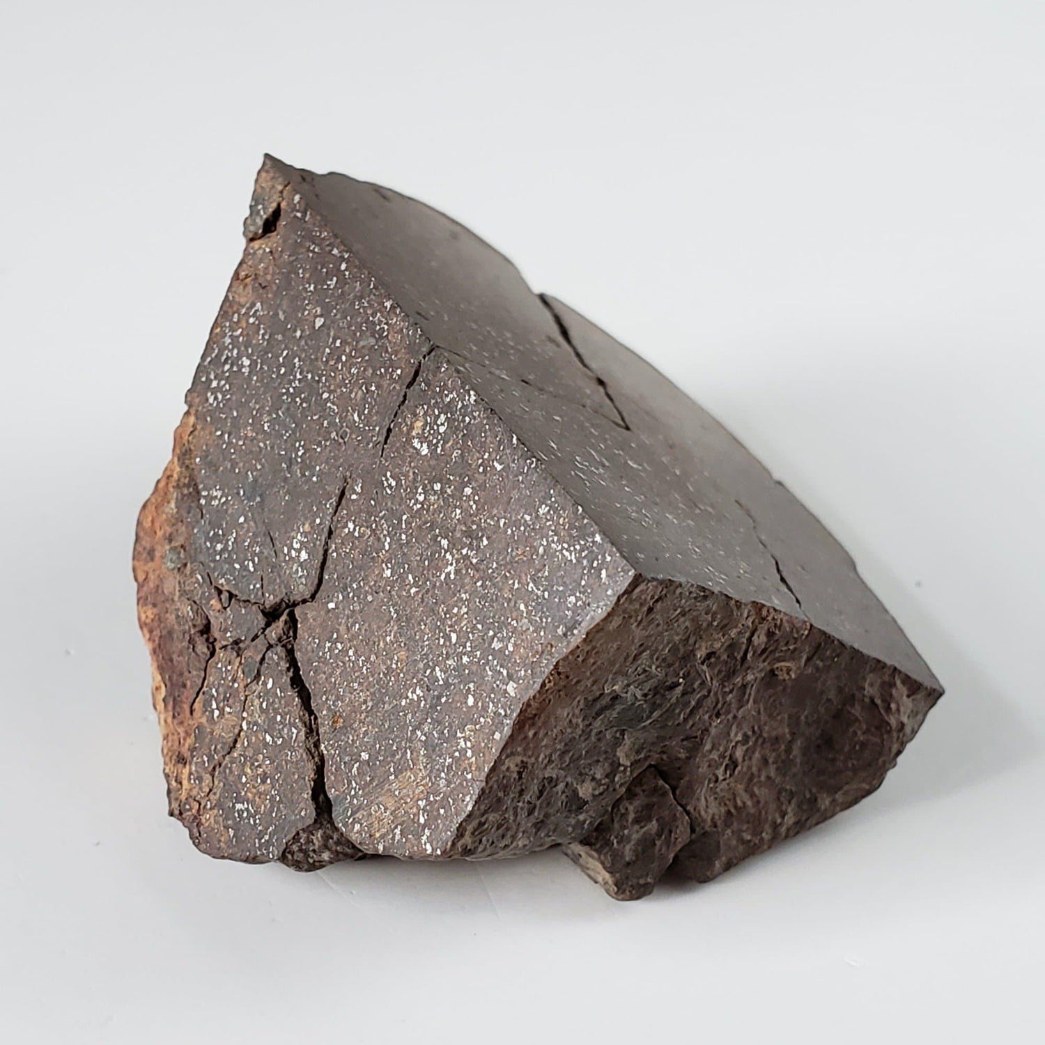 Northwest Africa NWA Meteorite | 95.66 Grams | End Cut | Sahara