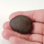 Northwest Africa NWA Meteorite | Meteorite Worry Stone | 23.6 Grams | Individual | Tumbled Meteorite | Sahara