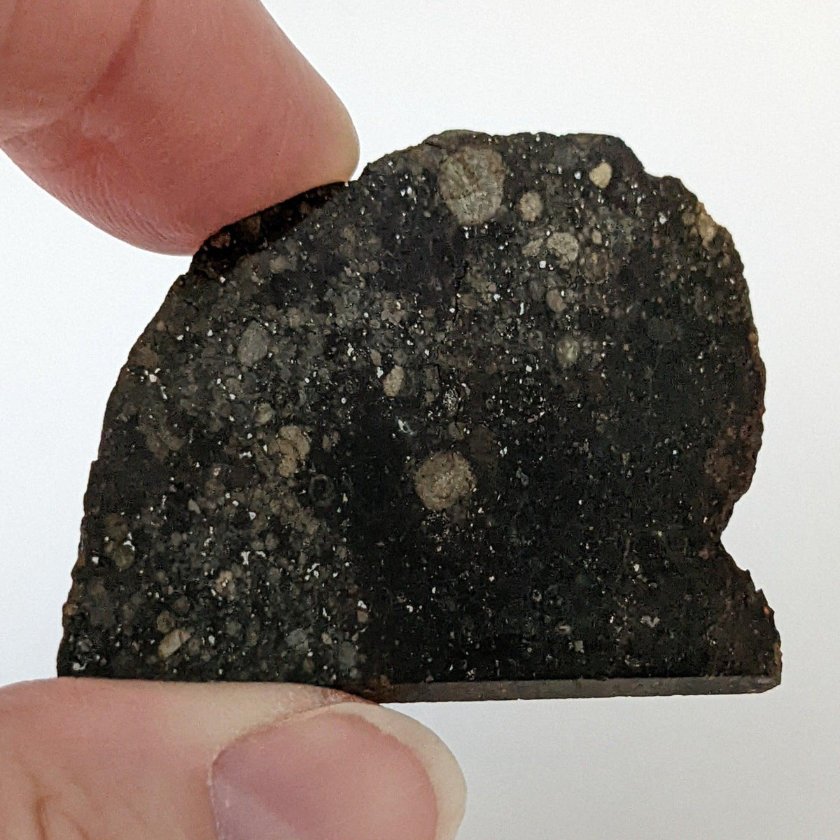 NWA 2384 Meteorite-in-a-Box | 15.6 Grams | Part Slice | LL4 Large Chondrules | Low TKW | Sahara Desert