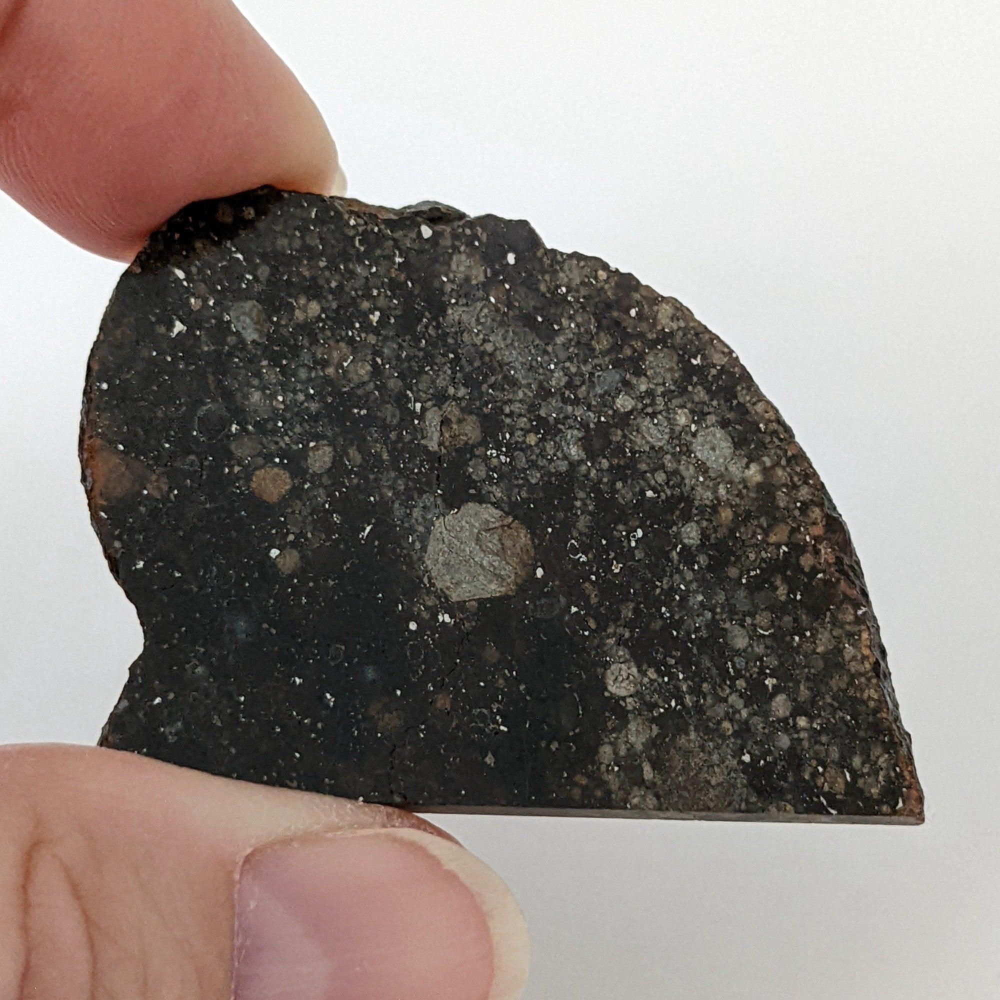 NWA 2384 Meteorite-in-a-Box | 15.6 Grams | Part Slice | LL4 Large  Chondrules | Low TKW | Sahara Desert