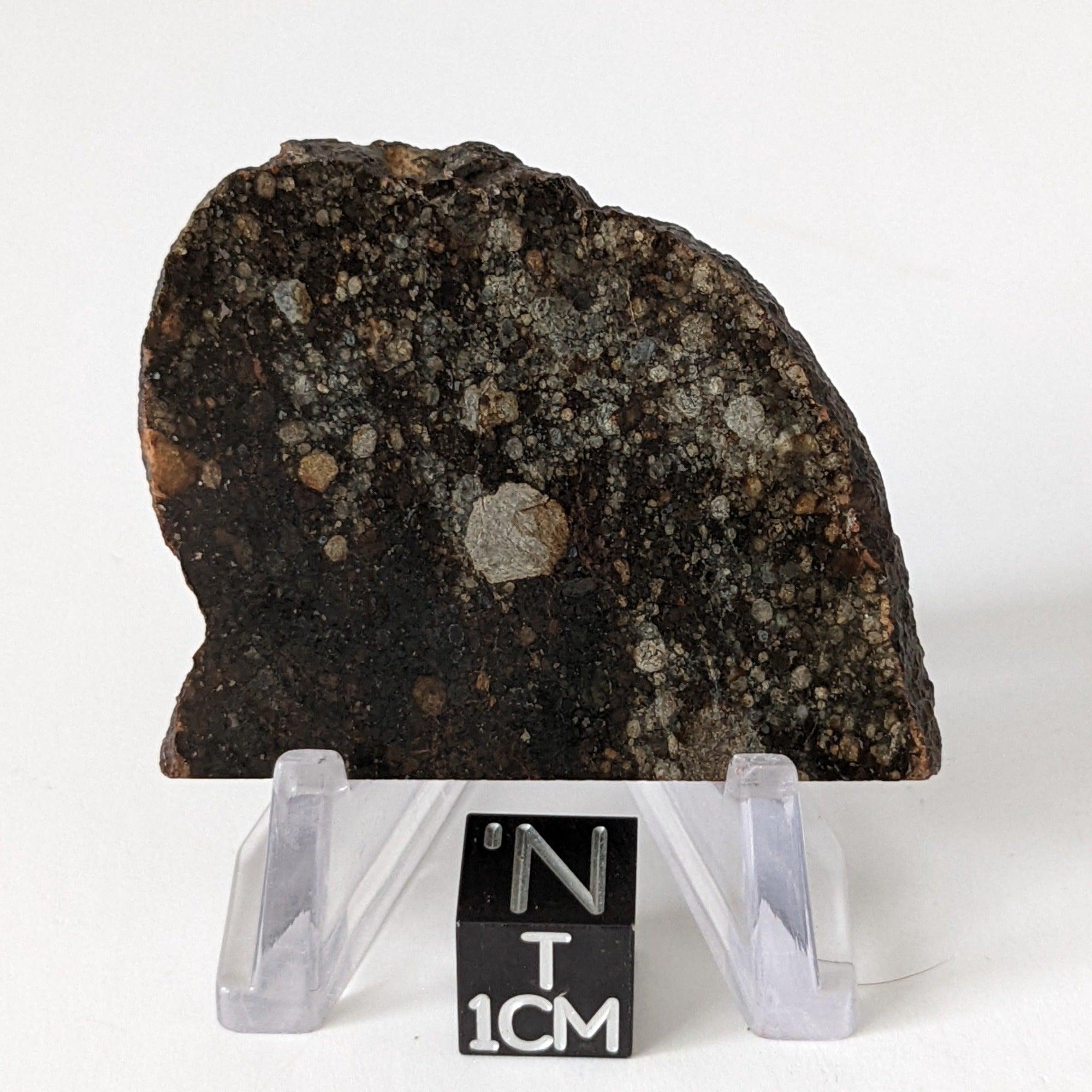 NWA 2384 Meteorite-in-a-Box | 15.6 Grams | Part Slice | LL4 Large  Chondrules | Low TKW | Sahara Desert