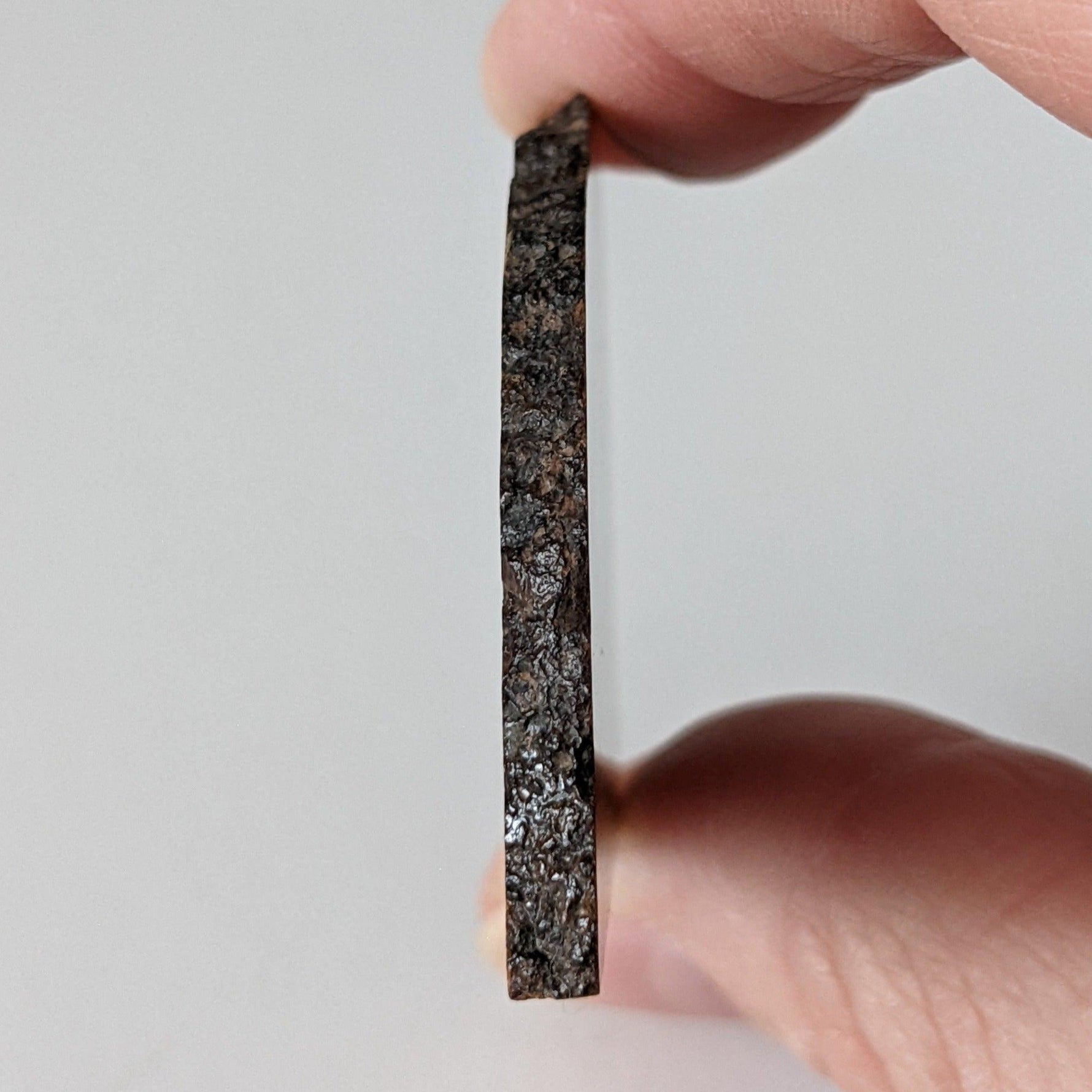 NWA 2384 Meteorite-in-a-Box | 15.6 Grams | Part Slice | LL4 Large Chondrules | Low TKW | Sahara Desert