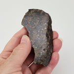 NWA 250 Meteorite | 55.70 Gr | Slice | L6 Chondrite | Sahara
