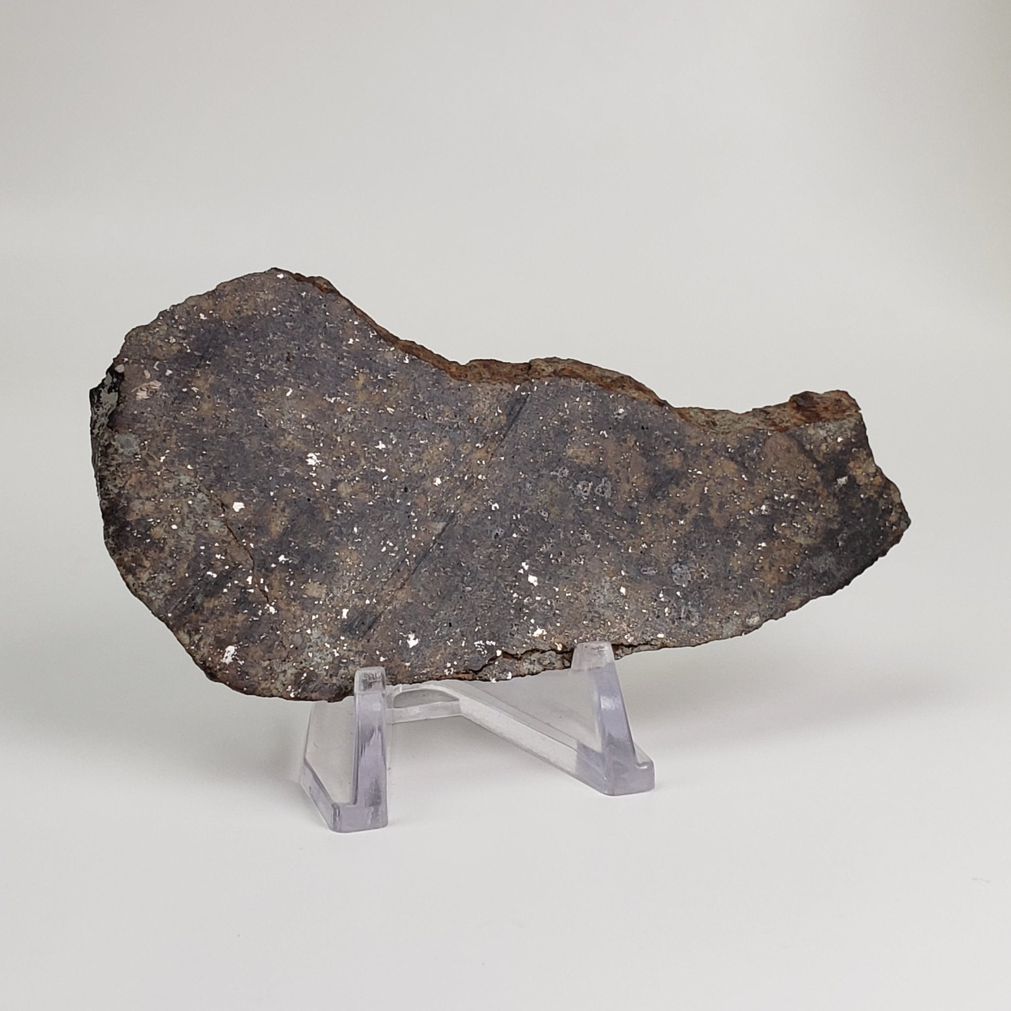 NWA 250 Meteorite | 55.70 Gr | Slice | L6 Chondrite | Sahara