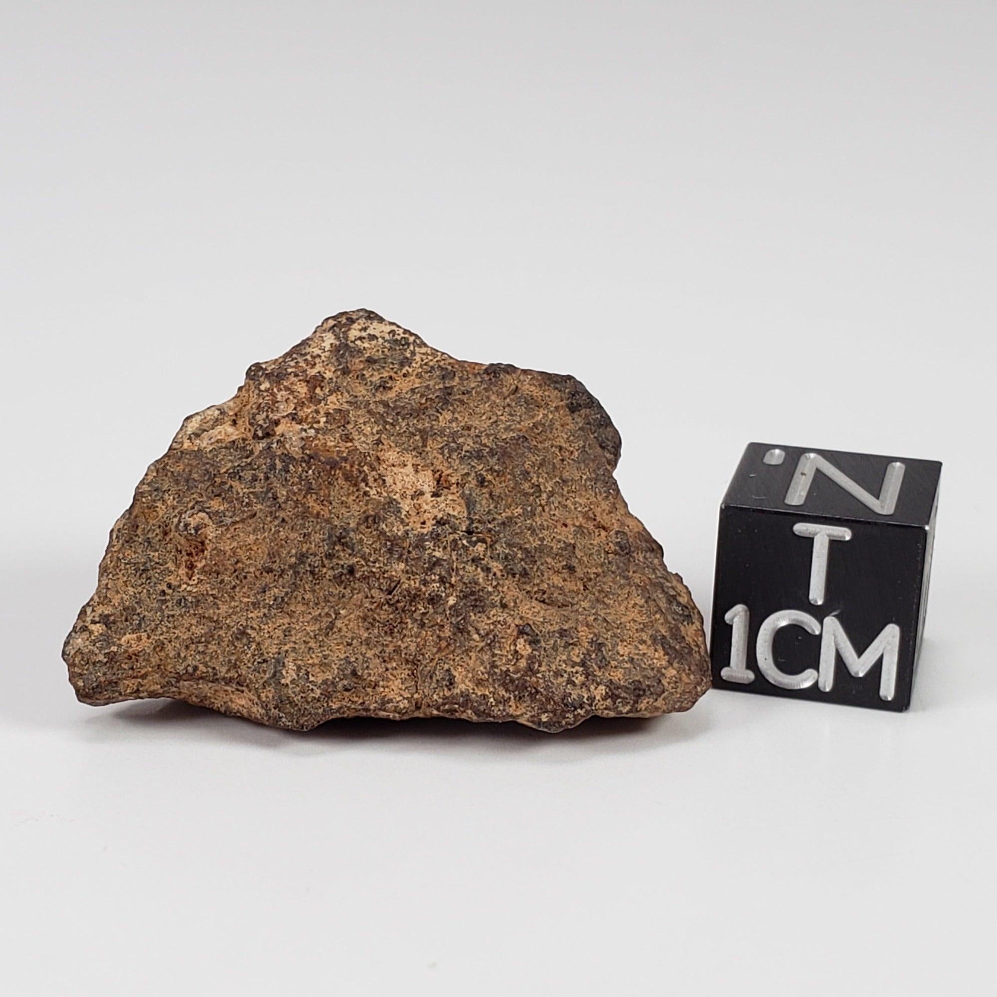 NWA 267 Meteorite 10.8 Gram| H4 Chondrite Used in Legal Tender Coin