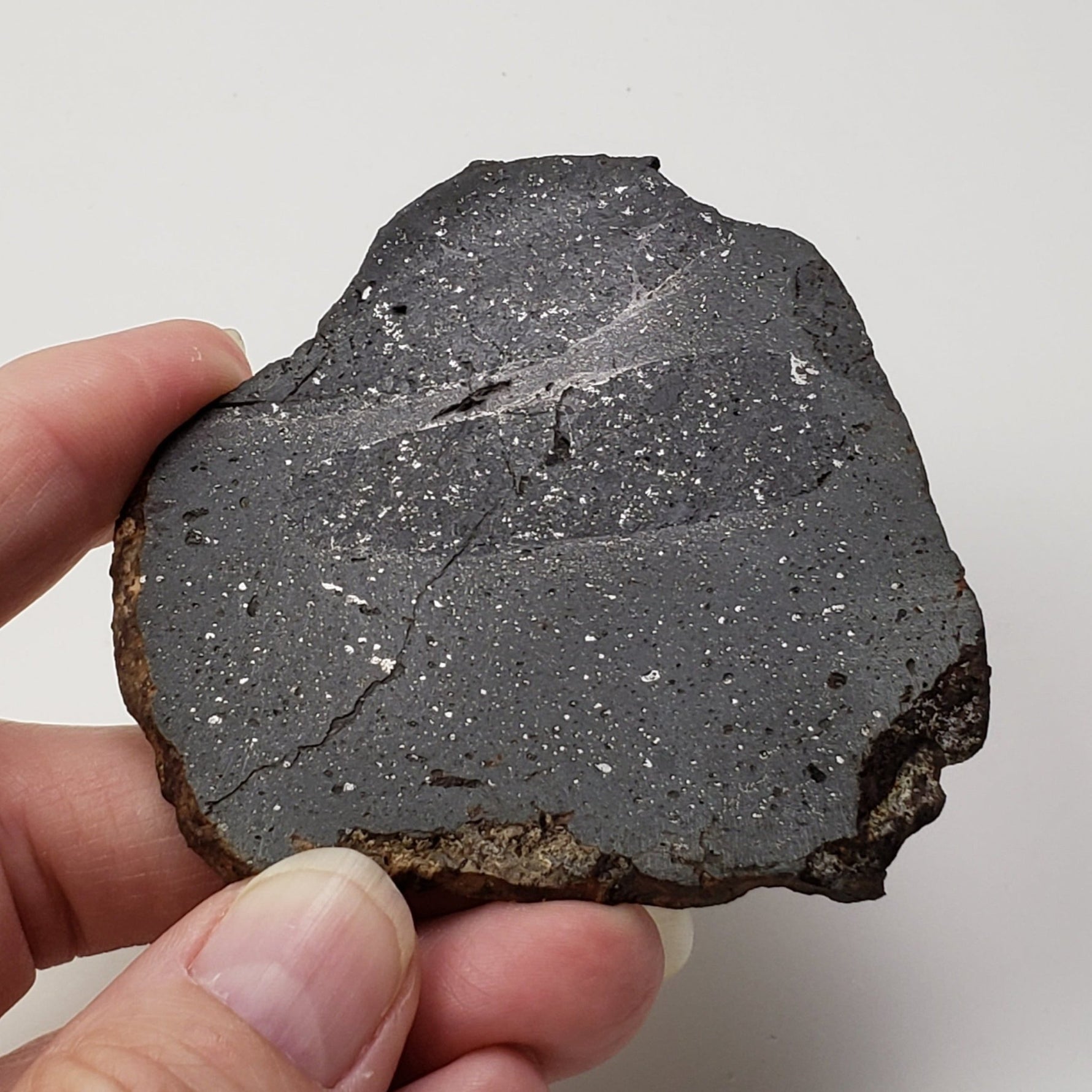 NWA 2902 Meteorite-in-a-Box | 51.05 Gr Slice | Rare L-Melt Rock | Low TKW