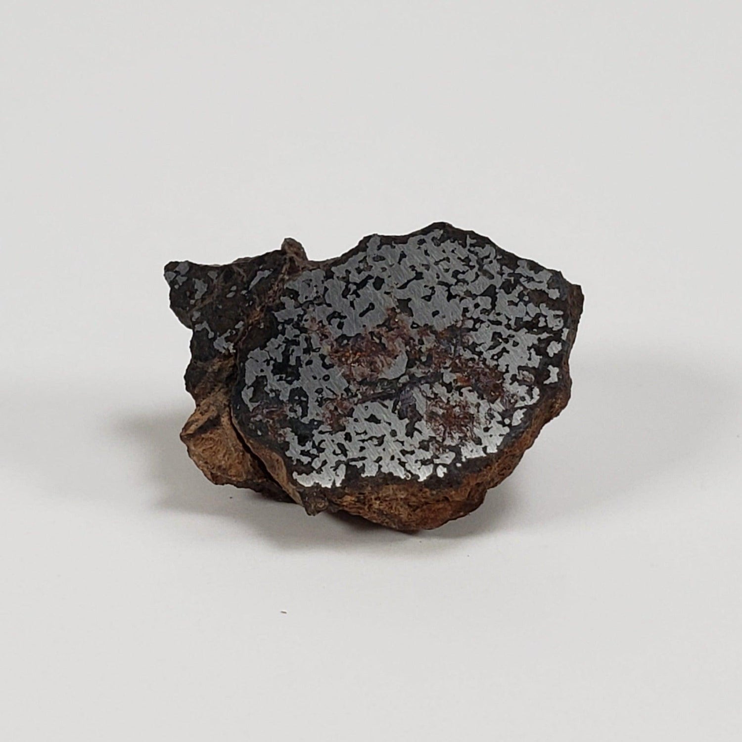 NWA 2924 Meteorite | 3.93 Gr | End Cut | Stony Iron Mesosiderite | Algeria