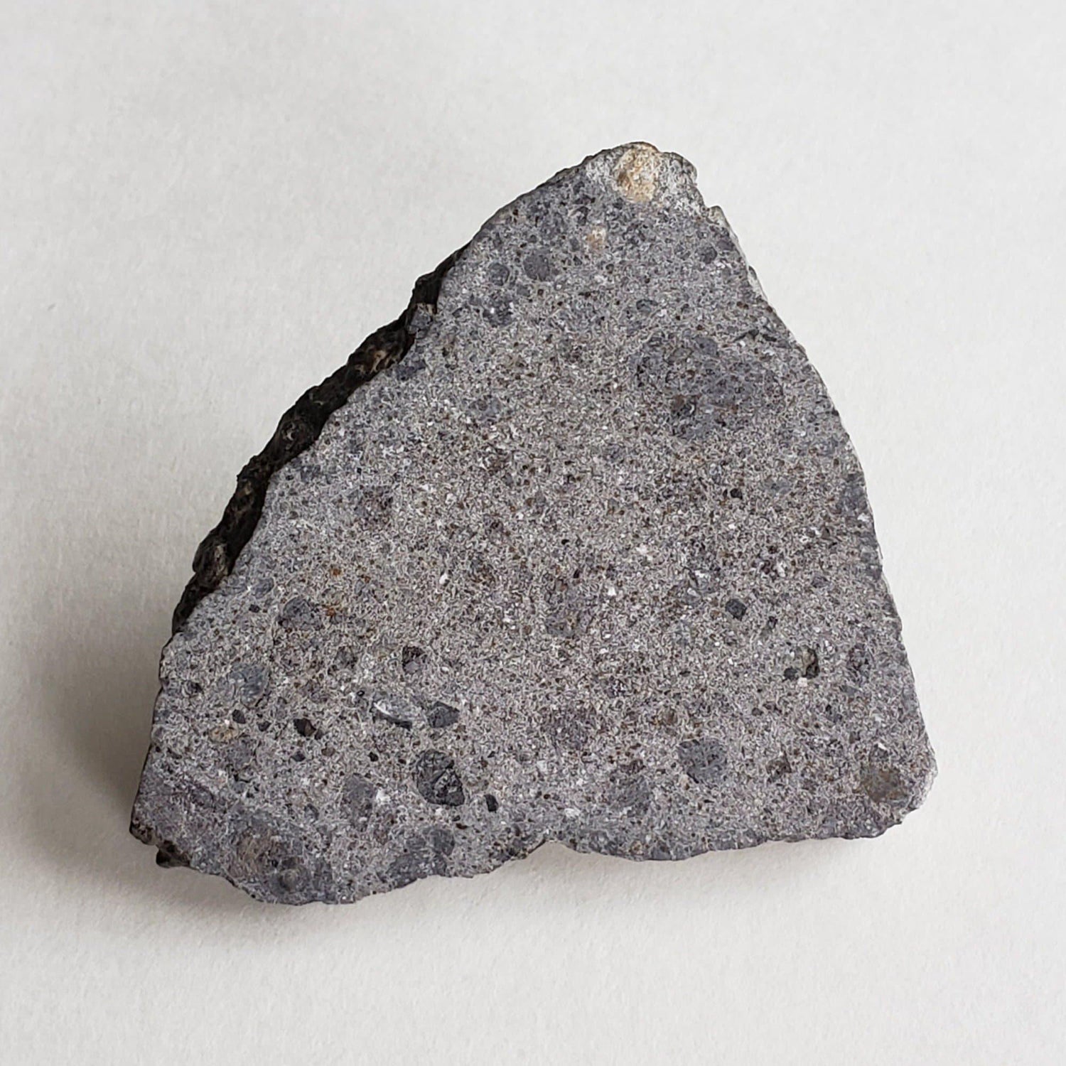 NWA 2949 Meteorite | 9.7 Gr | Slice | Rare Eucrite | Crusted | Low TKW | Erfoud, Morocco