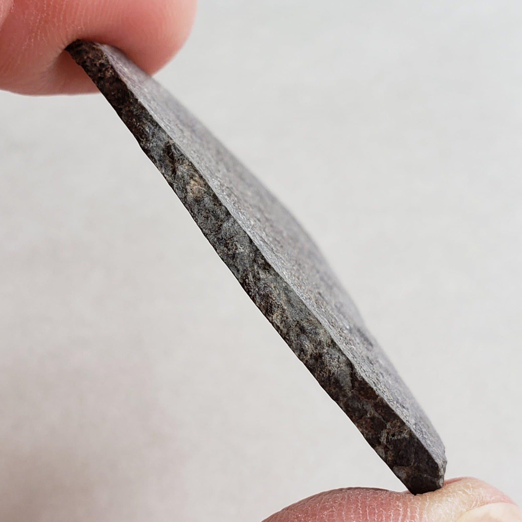 NWA 2949 Meteorite | 9.7 Gr | Slice | Rare Eucrite | Crusted | Low TKW | Erfoud, Morocco