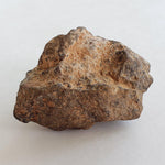 NWA 2965 Meteorite | 45.89 Grams | Individual | EL-Melt Rock | Fossil Paleomet