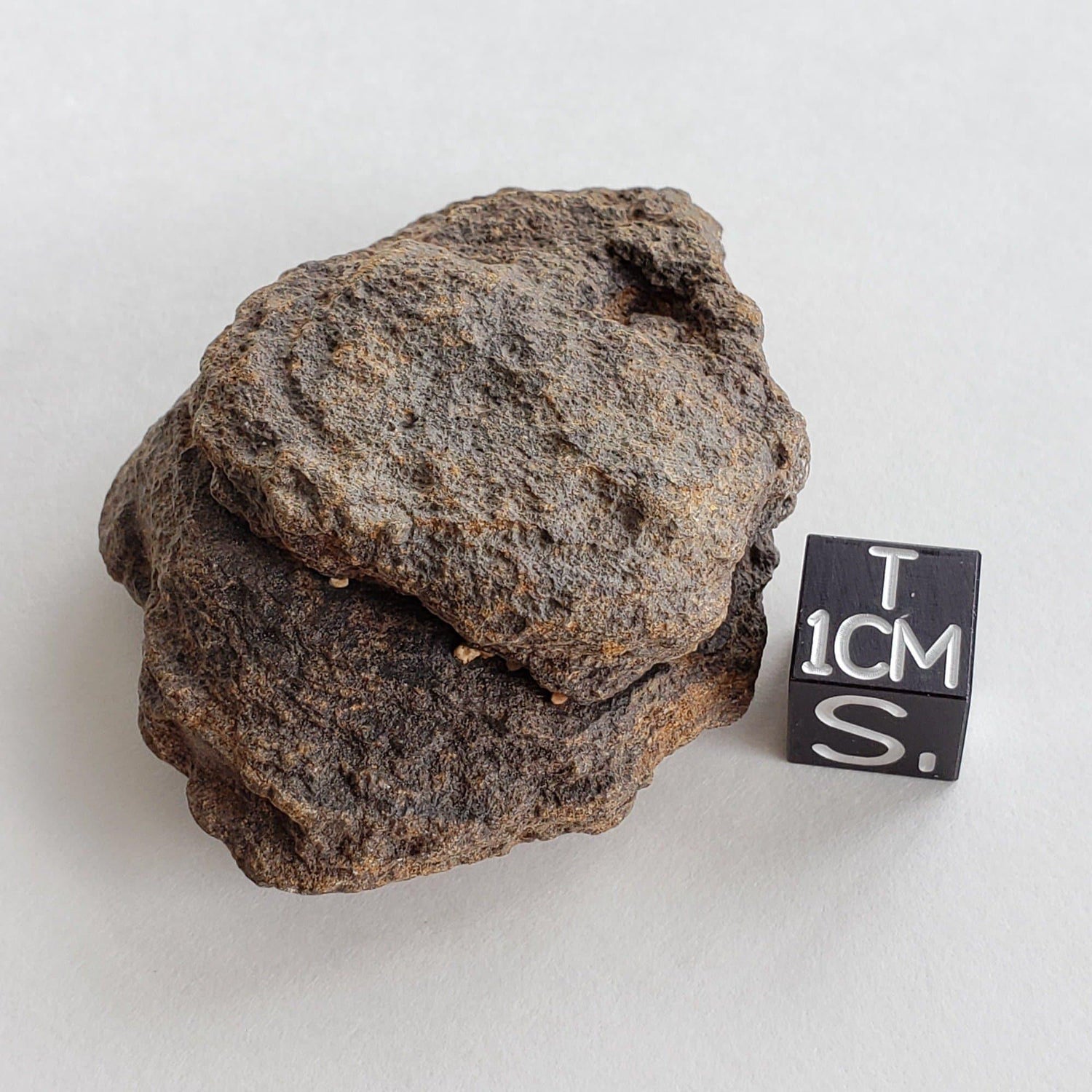 NWA 2965 Meteorite | 49.85 Grams | Individual | EL-Melt Rock | Fossil Paleomet