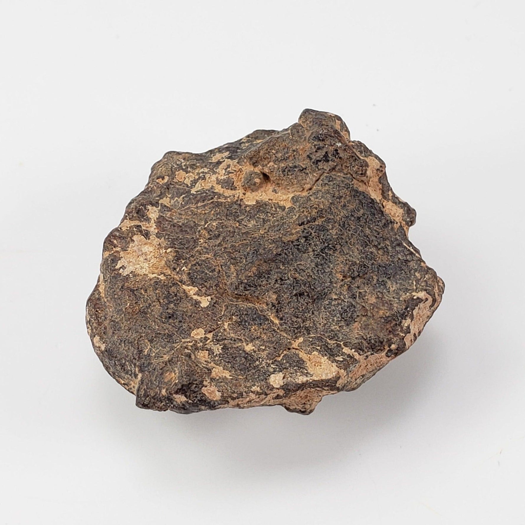 NWA 2965 Meteorite | 50.46 Grams | Individual | EL-Melt Rock | Fossil Paleomet