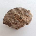 NWA 2965 Meteorite | 63.49 Grams | Individual | EL-Melt Rock | Fossil Paleomet