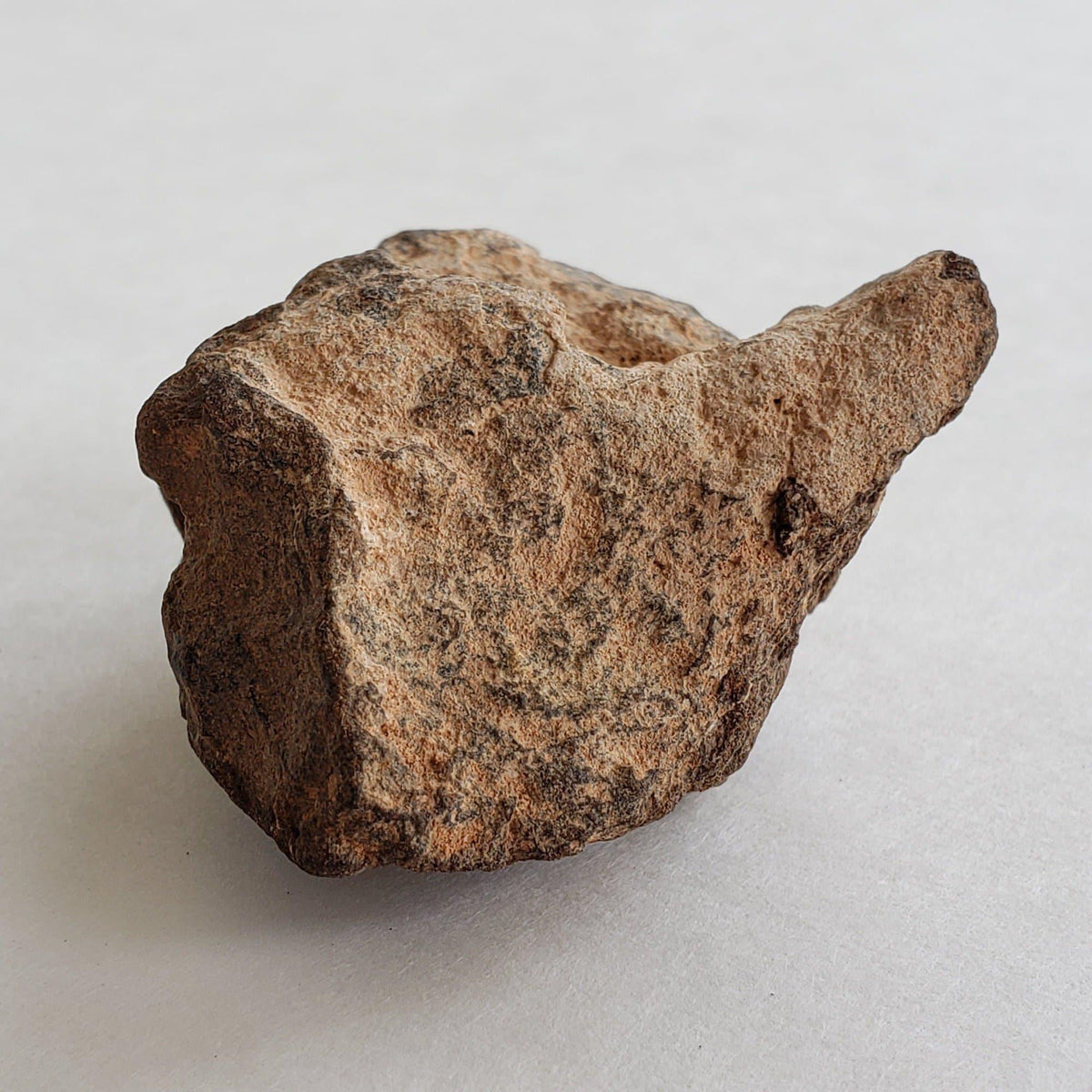 NWA 2965 Meteorite | 63.49 Grams | Individual | EL-Melt Rock | Fossil Paleomet