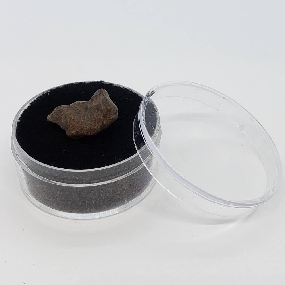 NWA 4293 Meteorite | 1 to 2 Grams | Individual | H6 Chondrite | Gem Jar