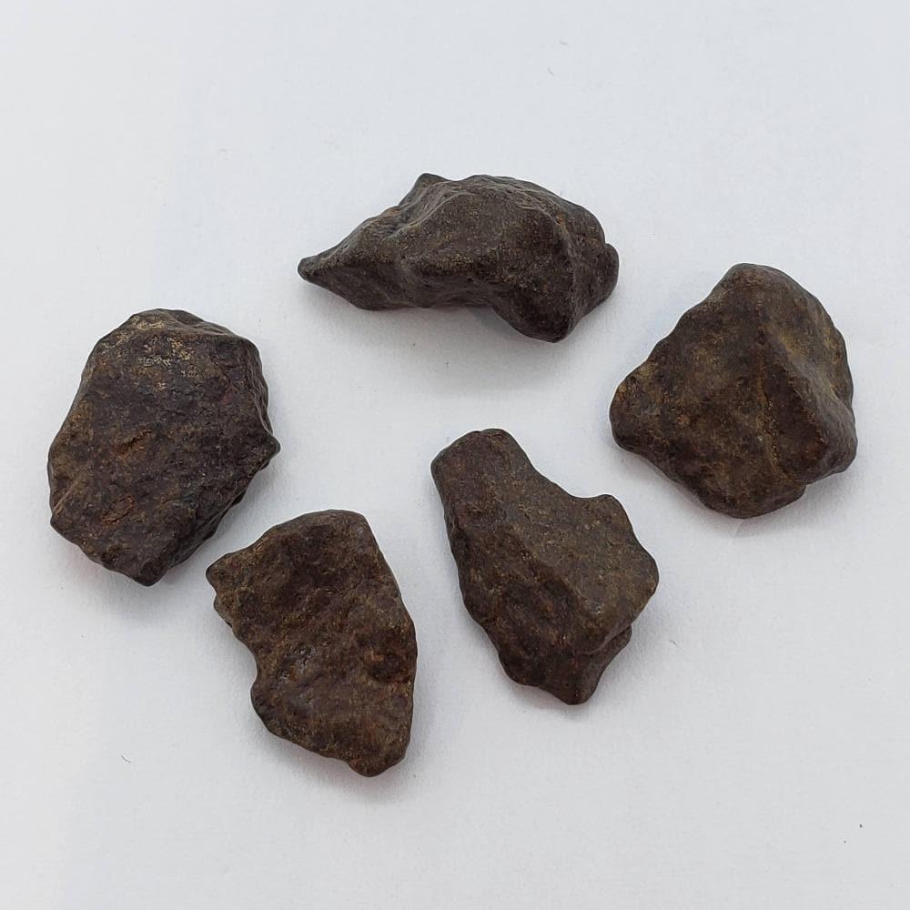 NWA 4293 Meteorite | 1 to 2 Grams | Individual | H6 Chondrite | Gem Jar