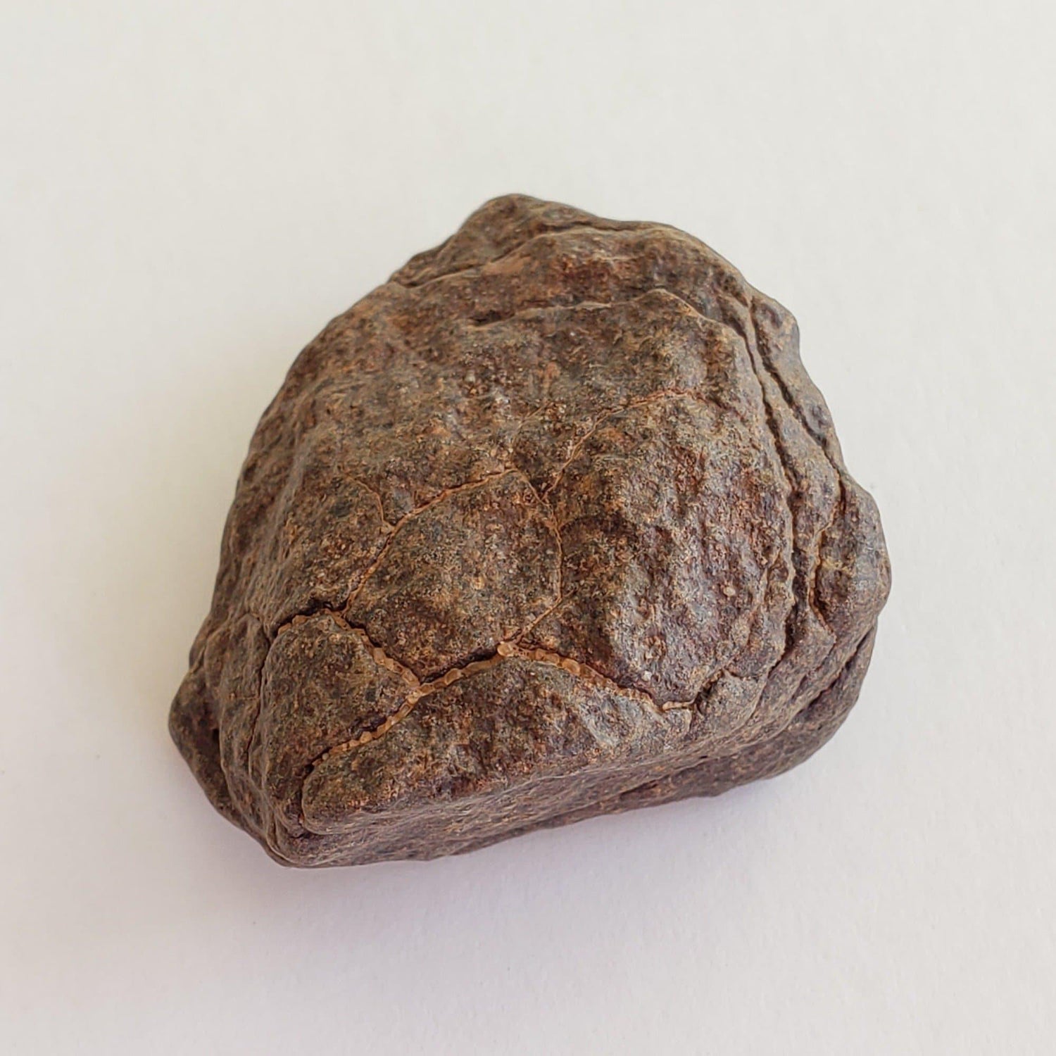 NWA 4293 Meteorite | 13.29 Grams | Individual | H6 Chondrite