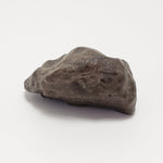 NWA 4293 Meteorite | 3 Grams | Individual | H6 Chondrite