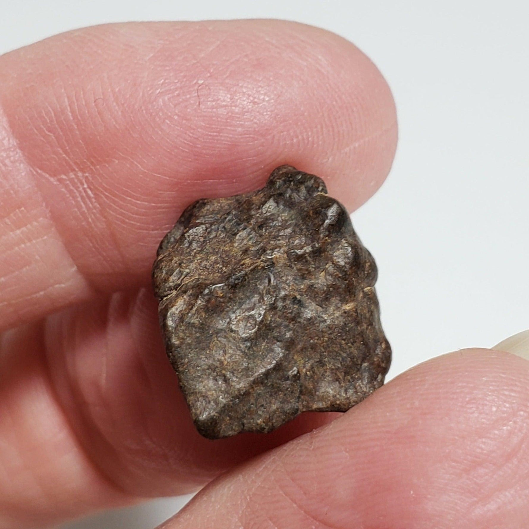  NWA 4293 Meteorite | 3.56 Grams | Individual | H6 Chondrite 