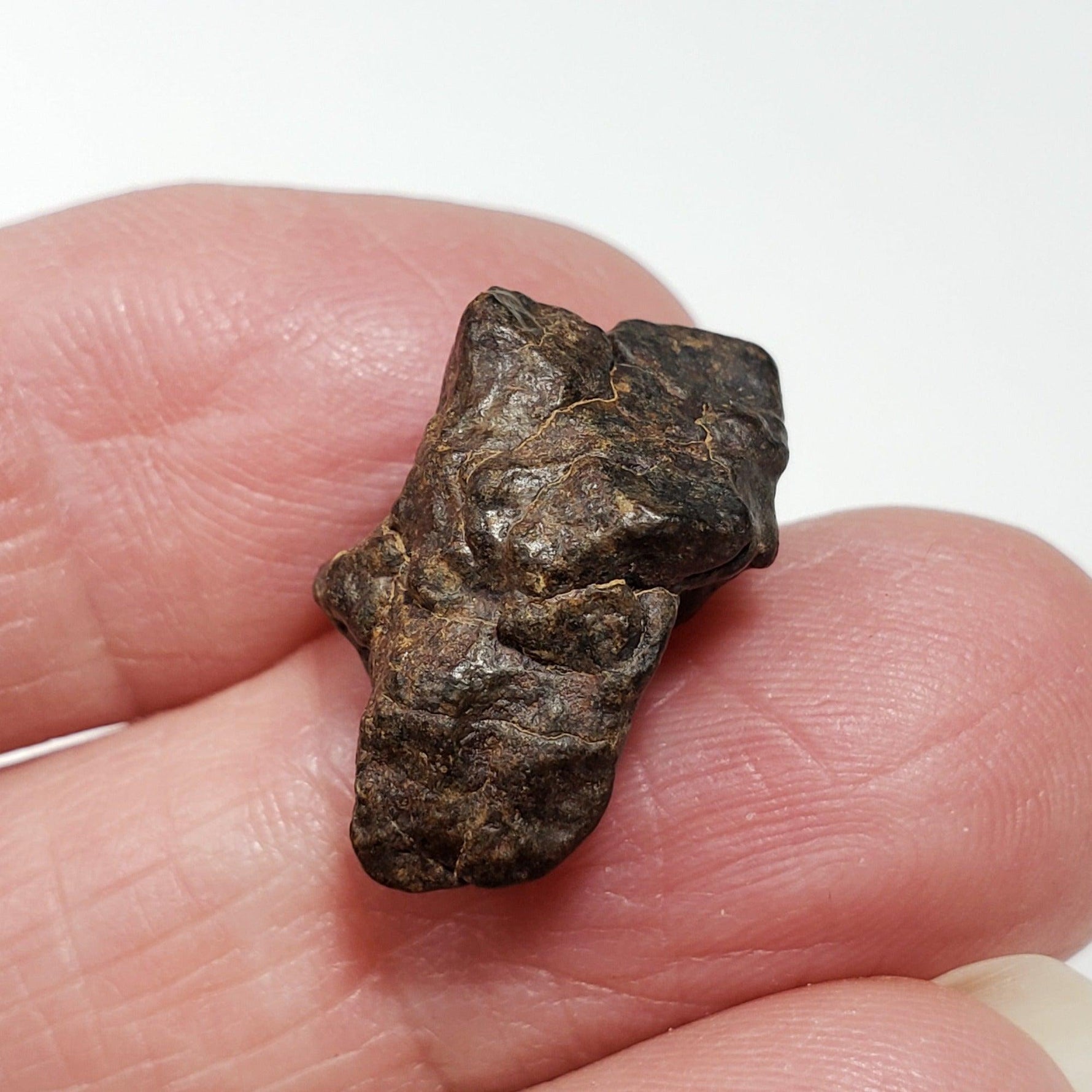  NWA 4293 Meteorite | 3.66 Grams | Individual | H6 Chondrite 