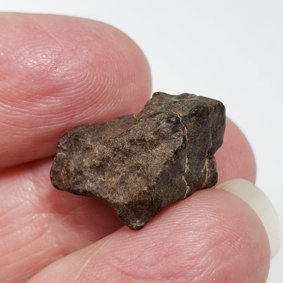  NWA 4293 Meteorite | 3.66 Grams | Individual | H6 Chondrite 