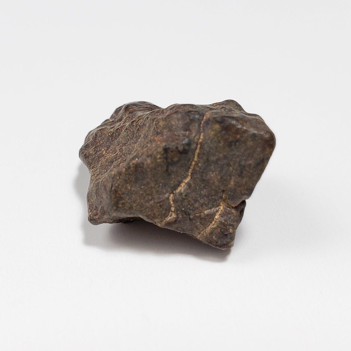  NWA 4293 Meteorite | 3.66 Grams | Individual | H6 Chondrite 