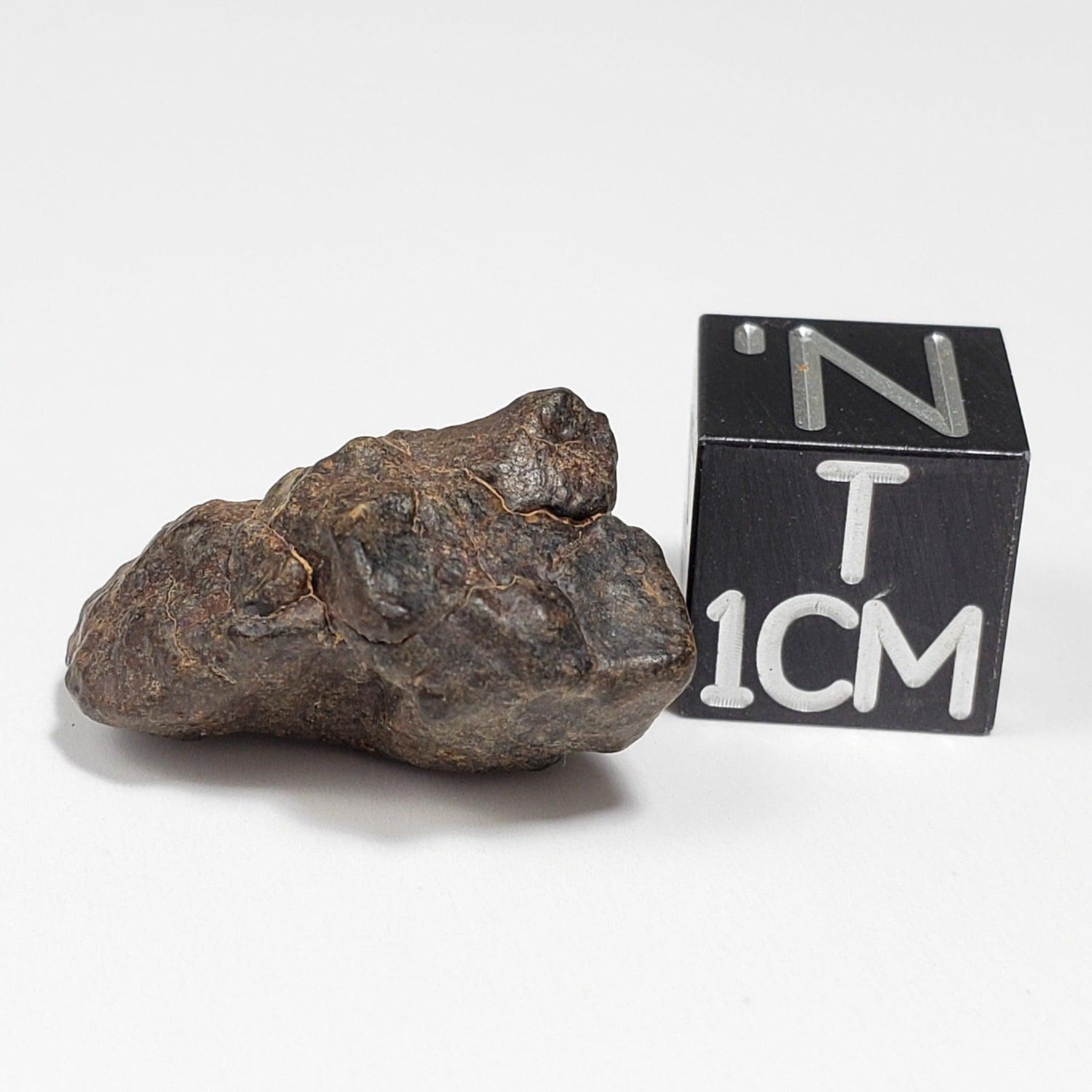  NWA 4293 Meteorite | 3.66 Grams | Individual | H6 Chondrite 