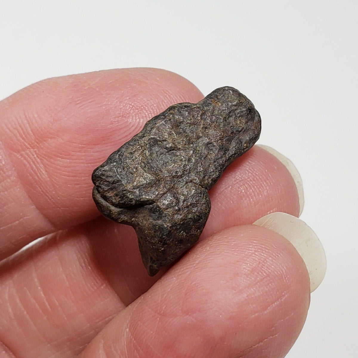  NWA 4293 Meteorite | 3.8 Grams | Individual | H6 Chondrite 