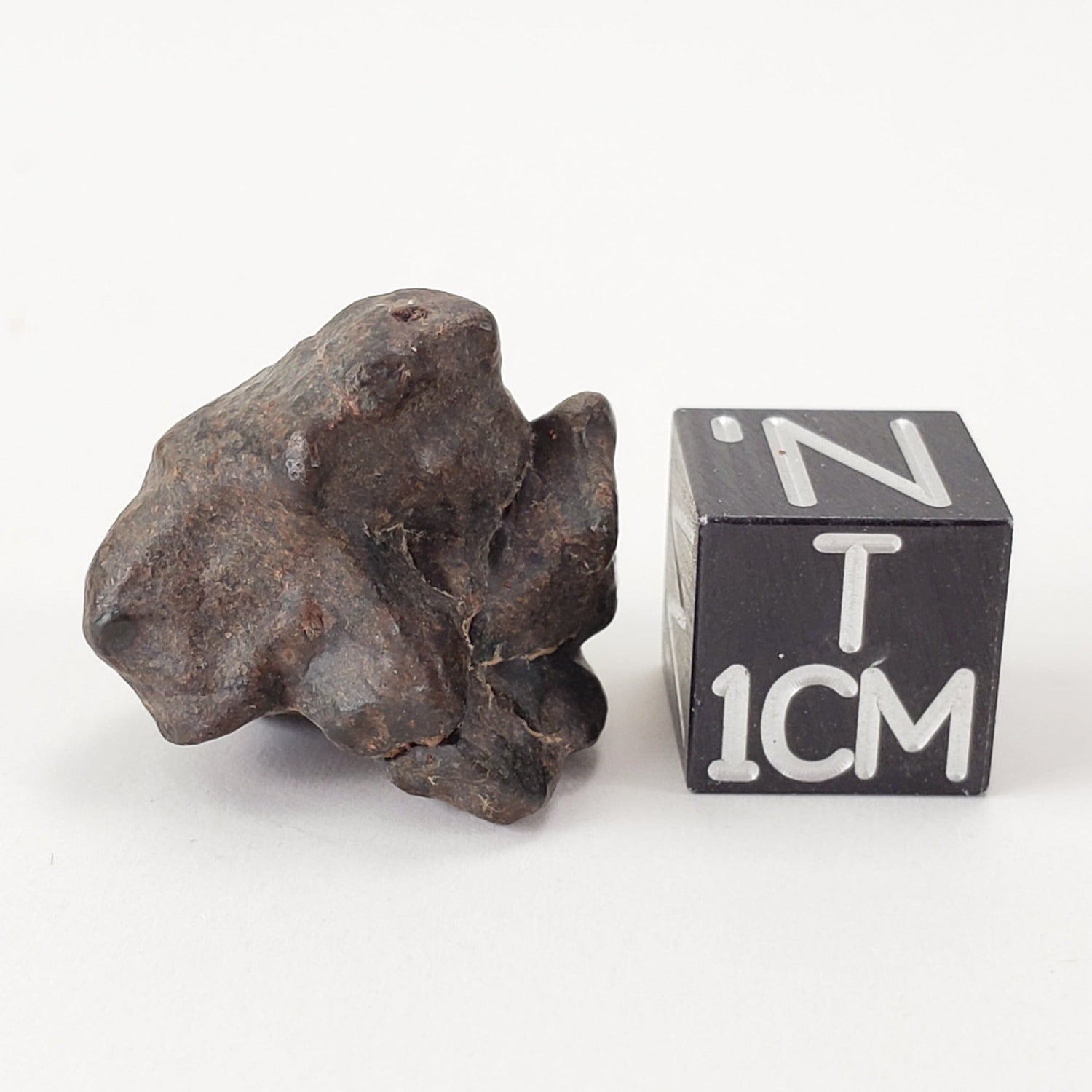  NWA 4293 Meteorite | 4.96 Grams | Individual | H6 Chondrite 