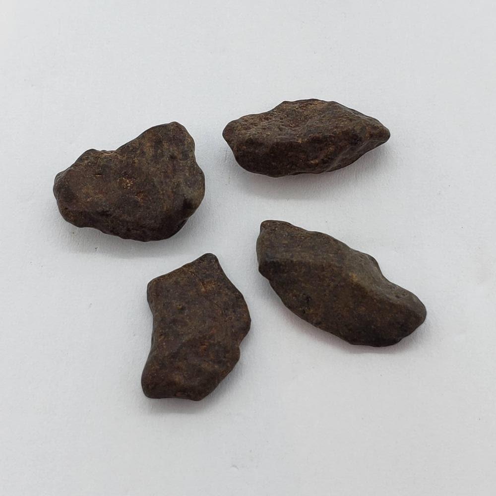 NWA 4293 Meteorite | Micro Specimen Individual | H6 Chondrite | Gem Jar