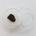 NWA 4293 Meteorite | Micro Specimen Individual | H6 Chondrite | Gem Jar