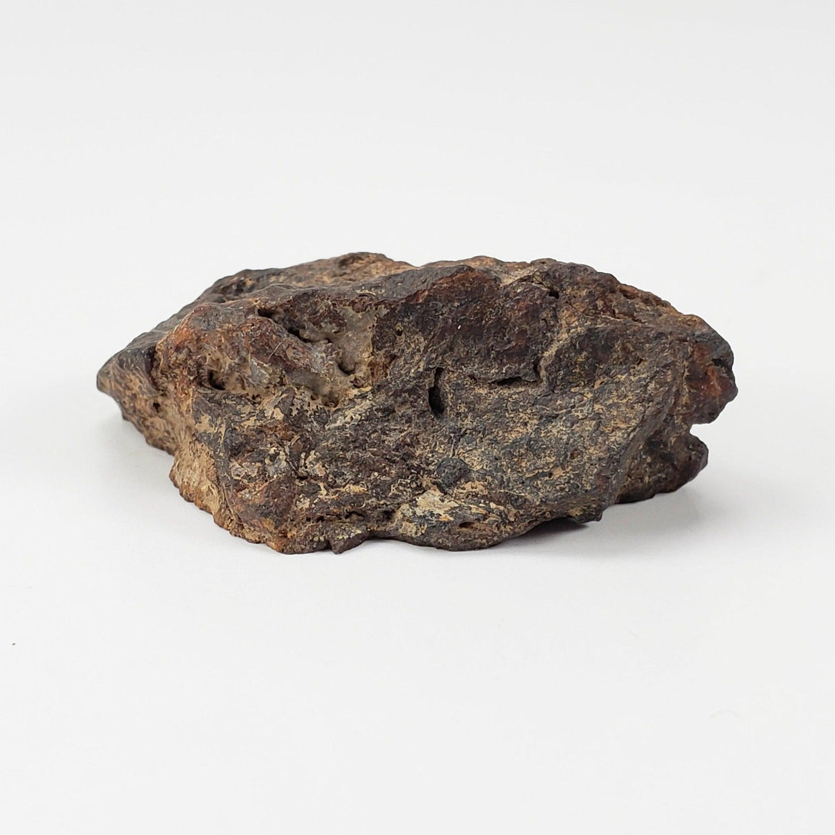 NWA 4295 Meteorite | 17.22 Grams | End Cut | EL-Melt Rock | Fossil Paleomet