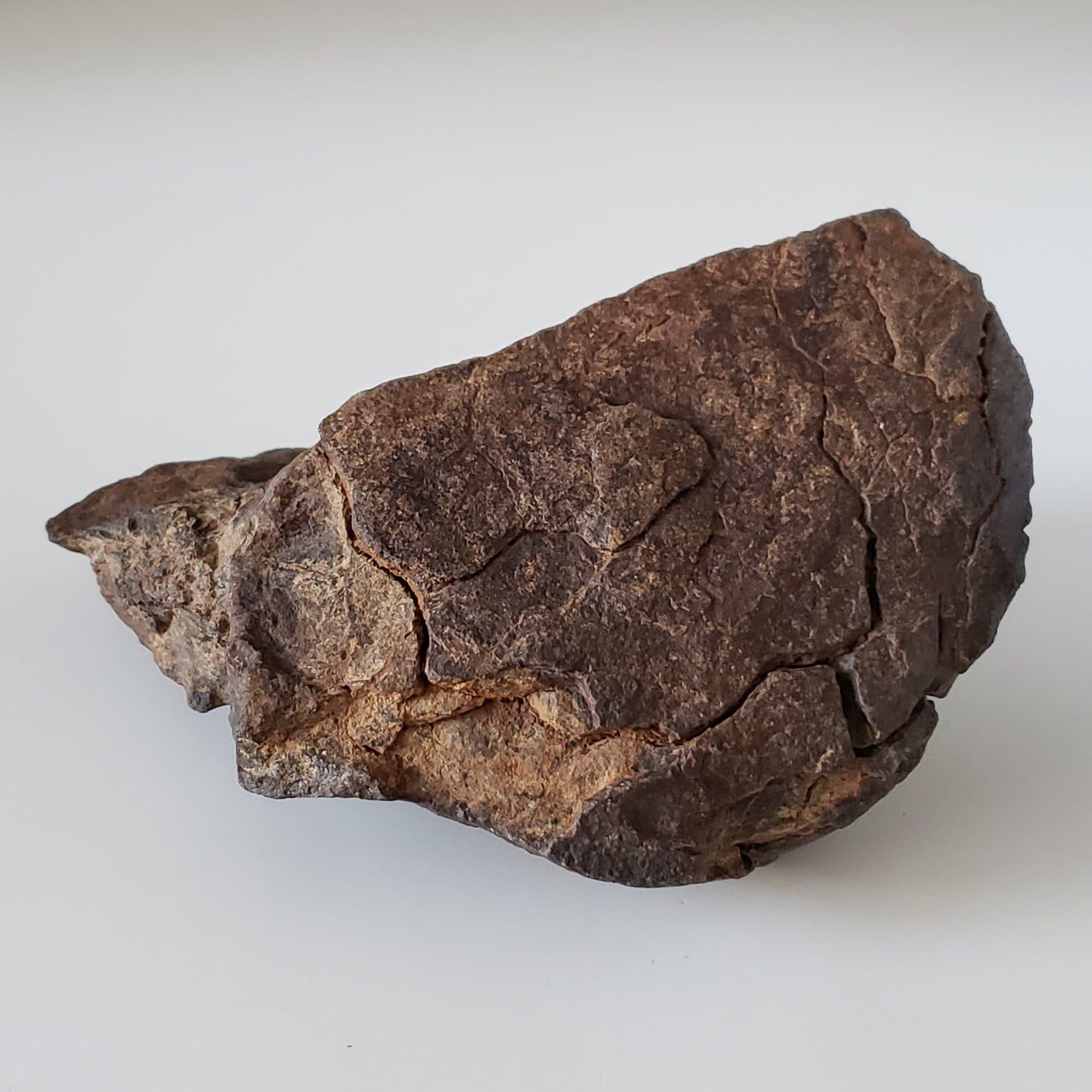 NWA 4528 Meteorite | 727 Gr | Individual Fragment | H5 Chondrite | Sahara Desert