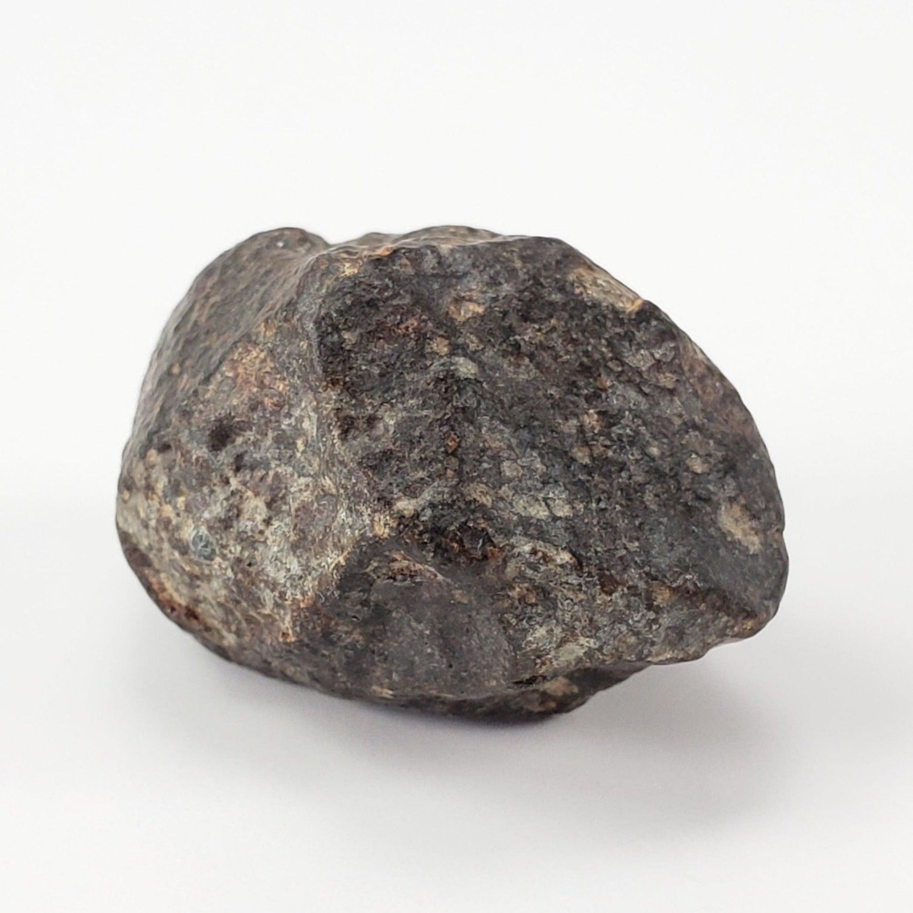 NWA 869 Meteorite | 10.59 Gr | Individual | L3-6 Chondrite | Crusted Specimen