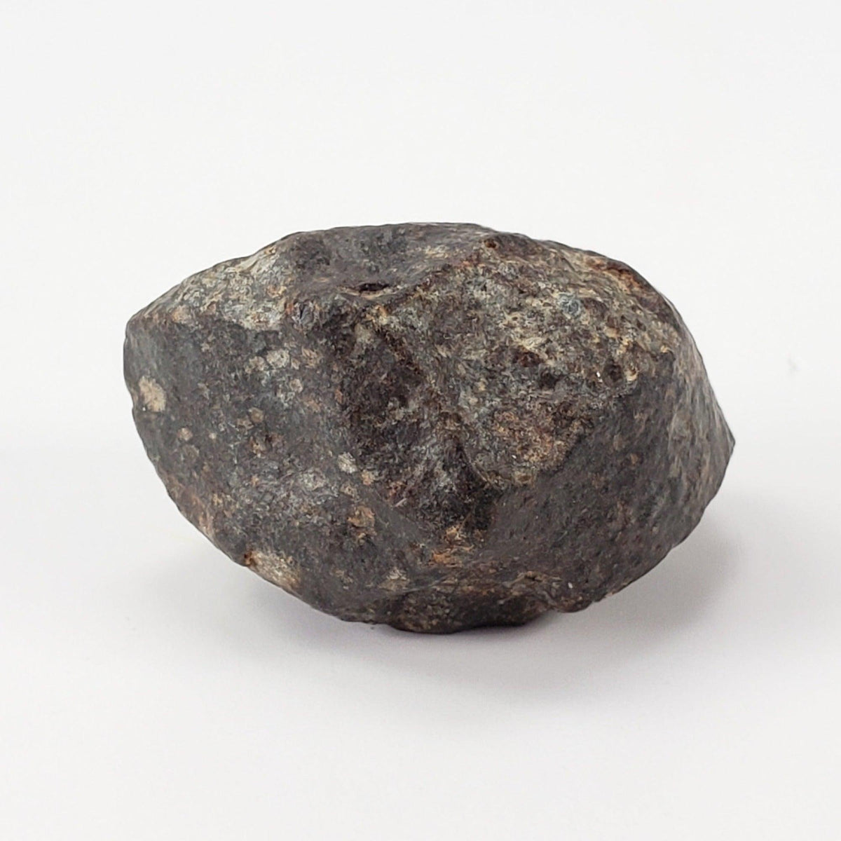 NWA 869 Meteorite | 10.59 Gr | Individual | L3-6 Chondrite | Crusted Specimen