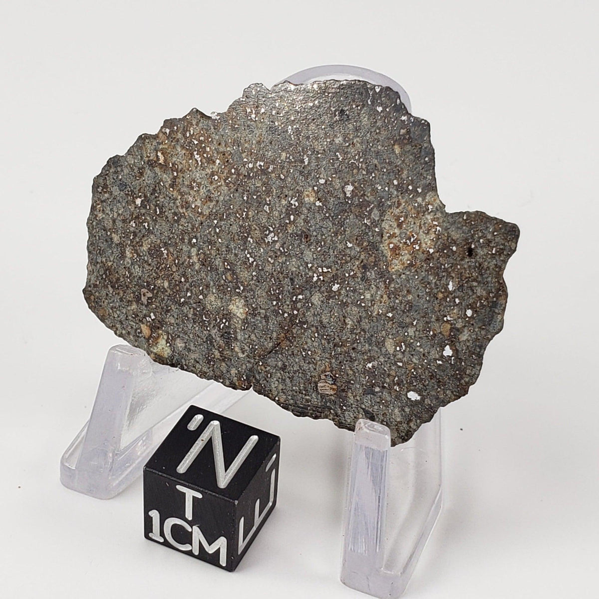  NWA 869 Meteorite | 14.82 Gr | End Cut | L3-6 Chondrite | Northwest Africa 