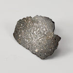  NWA 869 Meteorite | 14.82 Gr | End Cut | L3-6 Chondrite | Northwest Africa 