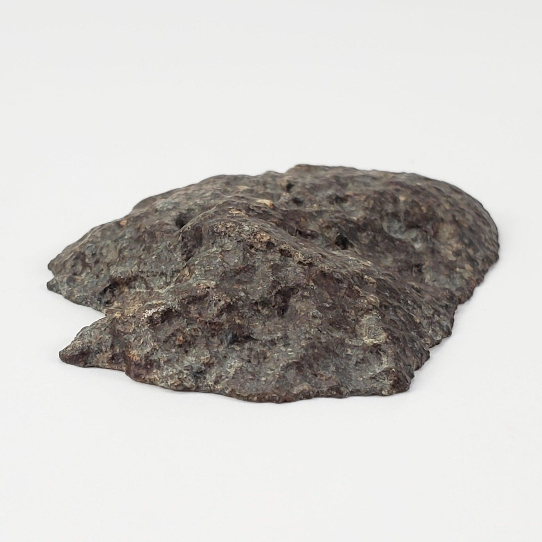  NWA 869 Meteorite | 14.82 Gr | End Cut | L3-6 Chondrite | Northwest Africa 