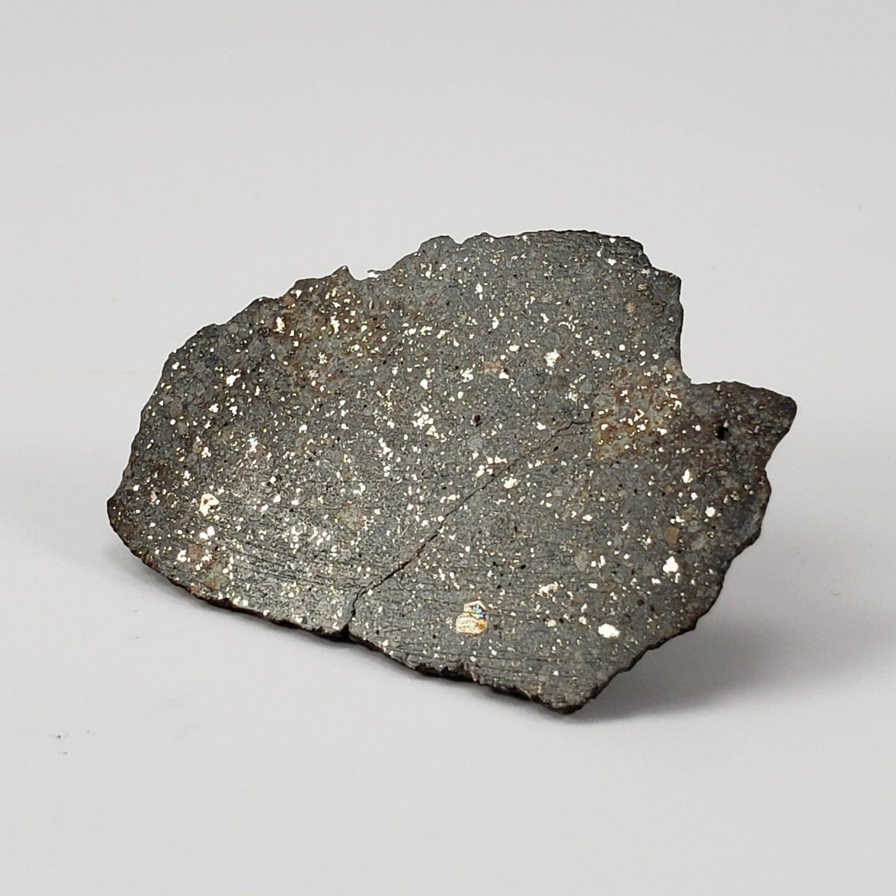  NWA 869 Meteorite | 14.82 Gr | End Cut | L3-6 Chondrite | Northwest Africa 